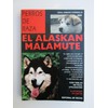 El Alaskan Malamute